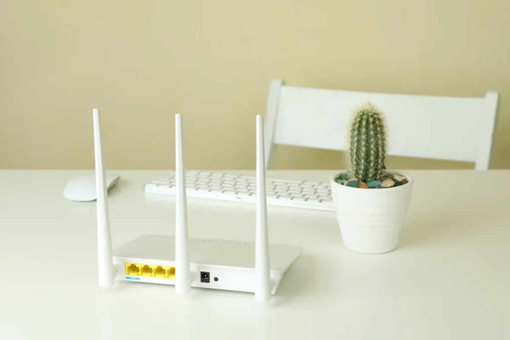 Box internet wifi blanche posée sur un bureau à côté d'un cactus
