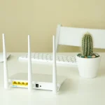 Box internet wifi blanche posée sur un bureau à côté d'un cactus
