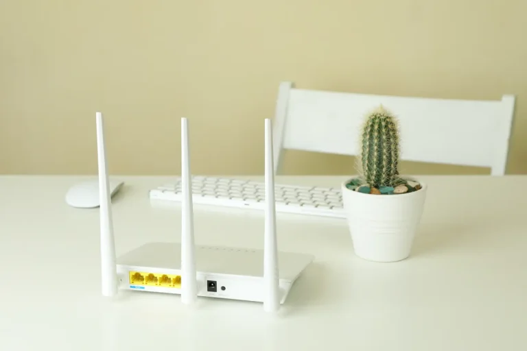 Box internet wifi blanche posée sur un bureau à côté d'un cactus